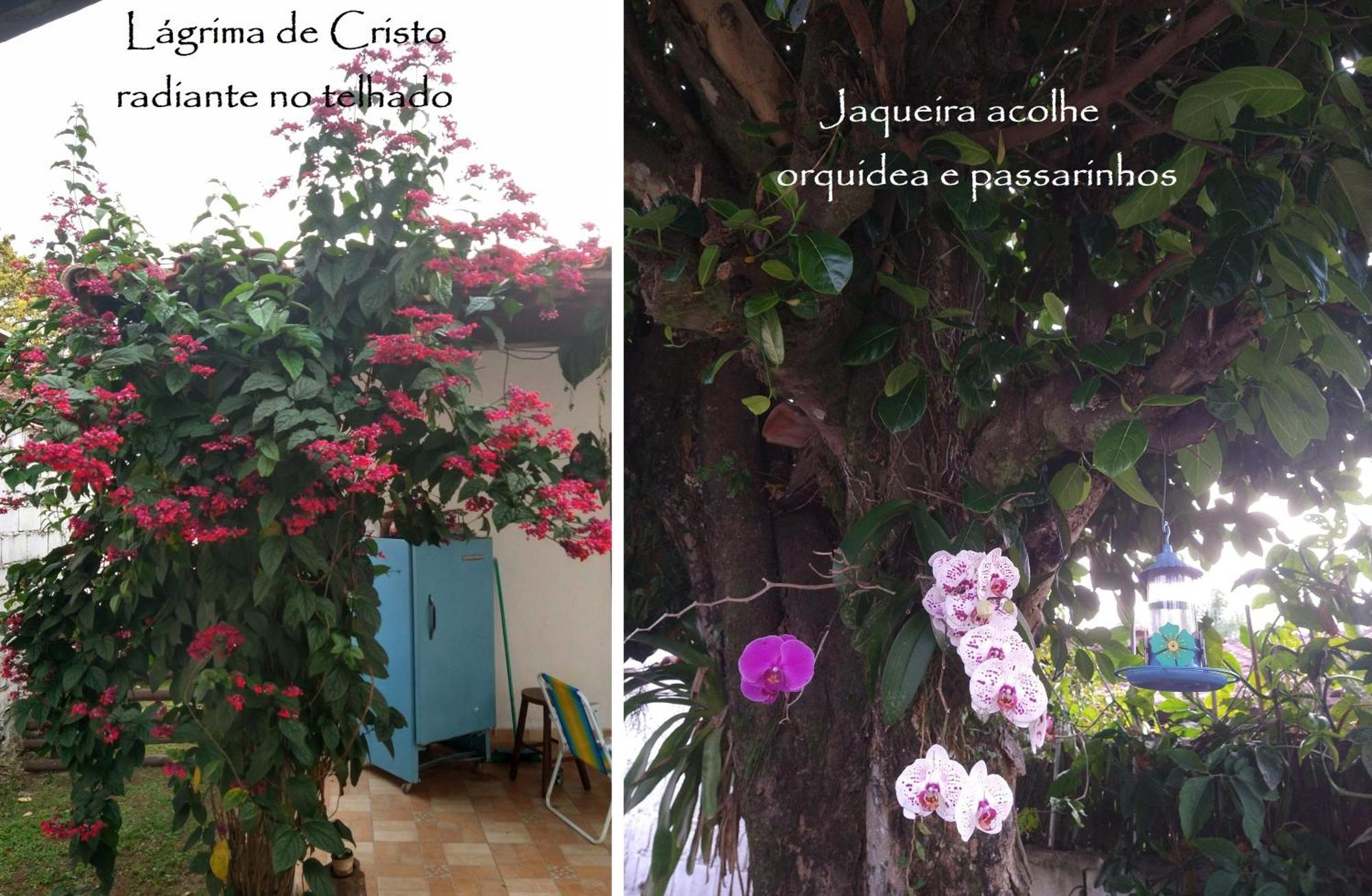 Chale Das Princesas Ilhabela Bagian luar foto